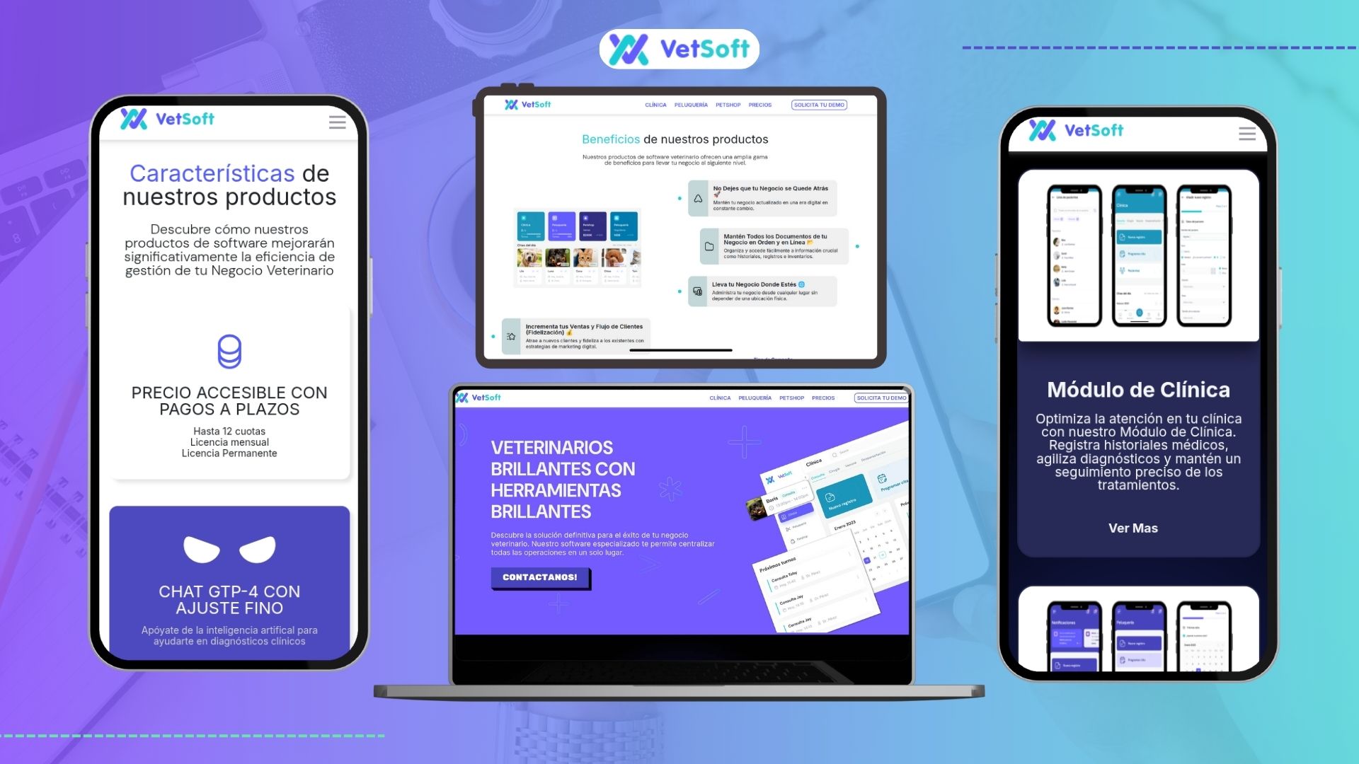 Vetsoft view